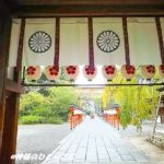京都平野神社・桜の神様が宿る「すえひろがね」
