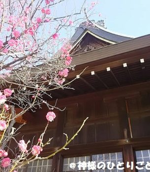 明石 御厨神社で日本の神様の謎を追う